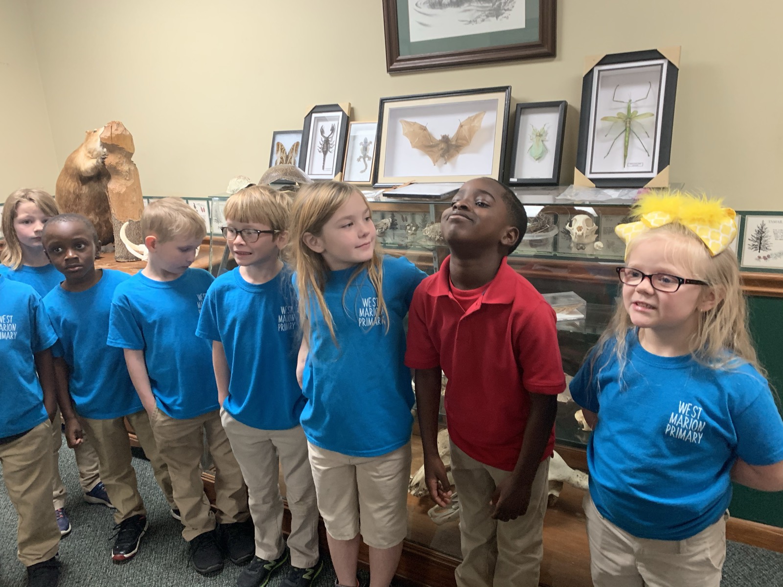 A line of primary-school students looking up at the museum's framed insect and specimen displays