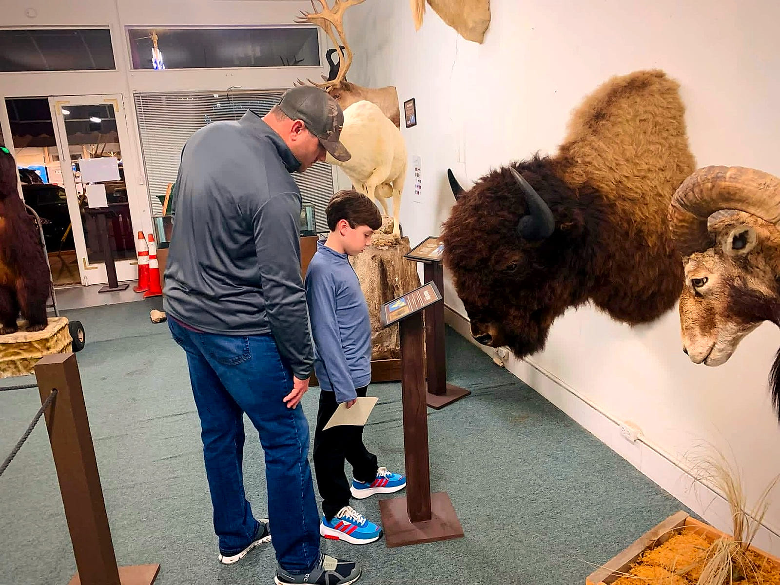 A father and son reading the American Bison exhibit card