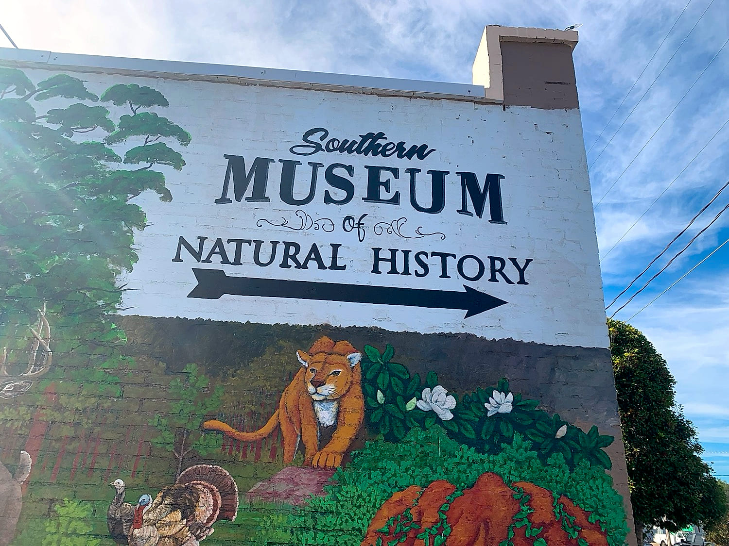 The painted museum sign and arrow on the downtown Columbia wall