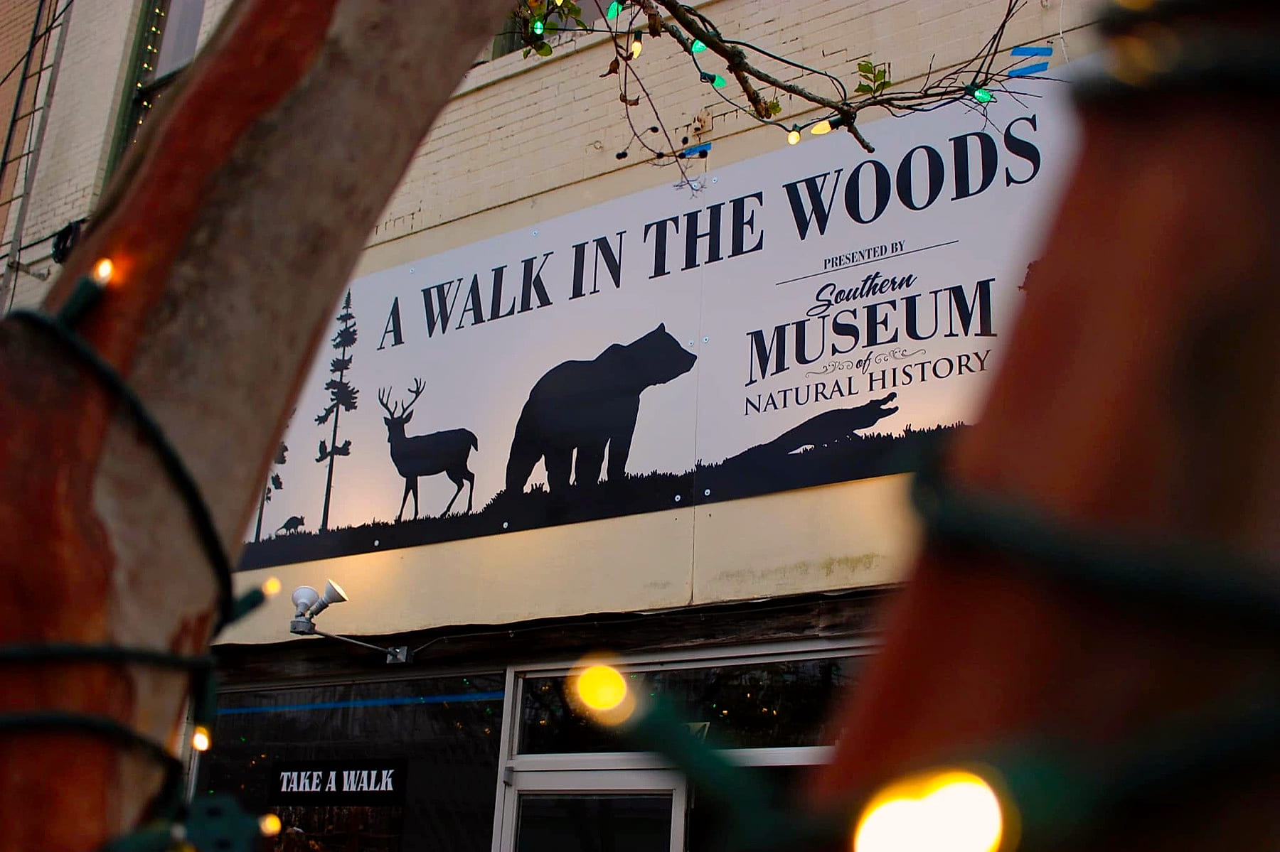 The museum storefront in downtown Columbia under the A Walk in the Woods banner